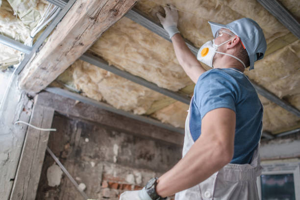 Best Commercial Insulation in Mount Carmel, IL
