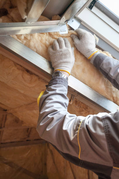Best Residential Insulation in Mount Carmel, IL